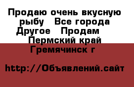 Продаю очень вкусную рыбу - Все города Другое » Продам   . Пермский край,Гремячинск г.